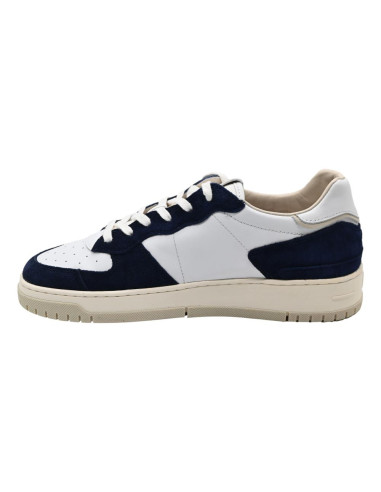 Torneo colored white-blue M421-to-co-wl