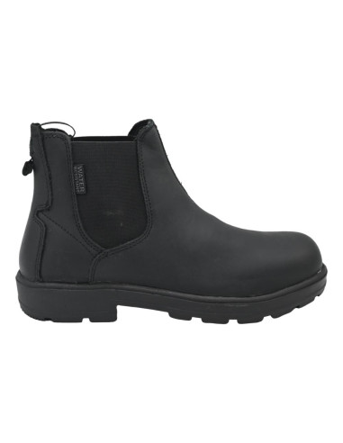 IV4130-cv cow virginia black