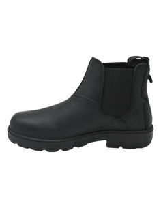 IV4130-cv cow virginia black 2