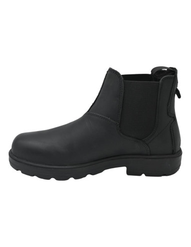 IV4130-cv cow virginia black