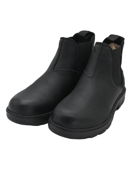 IV4130-cv cow virginia black