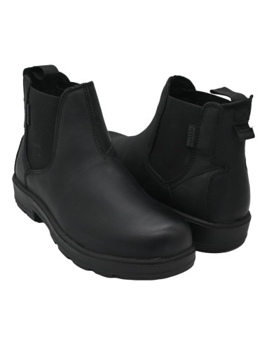 IV4130-cv cow virginia black