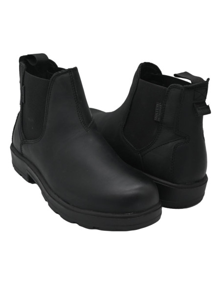 IV4130-cv cow virginia black